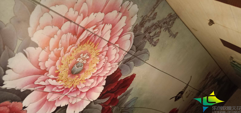 女浴軟膜天花案例